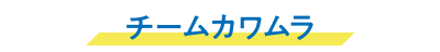 チームカワムラ