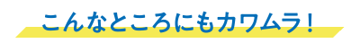 こんなところにもカワムラ！