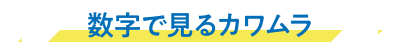 数字で見るカワムラ