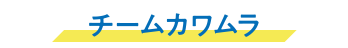 チームカワムラ