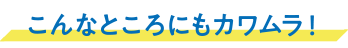 こんなところにもカワムラ！