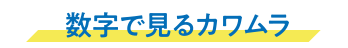 数字で見るカワムラ